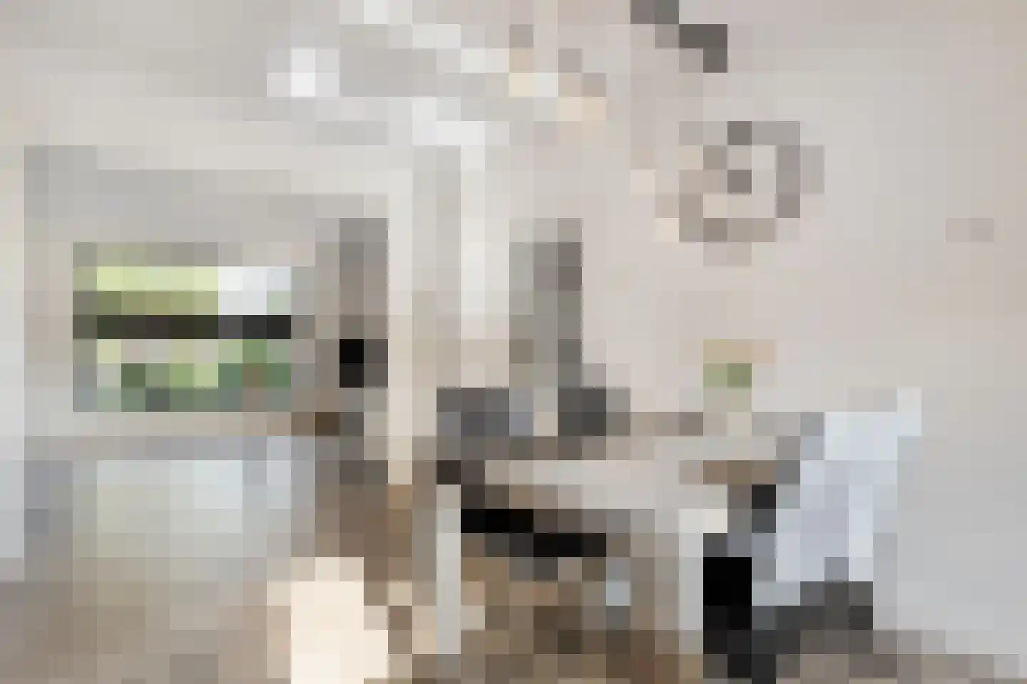 Beatrixstraat 9 Rossum thumbnail 7
