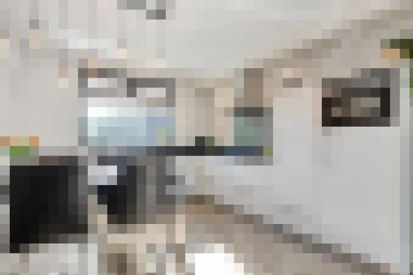 Beatrixstraat 9 Rossum thumbnail 9