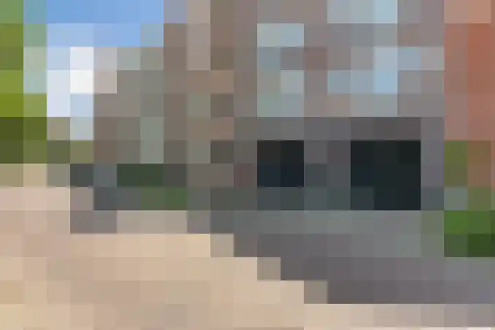 Beatrixstraat 99 Oldenzaal thumbnail 20