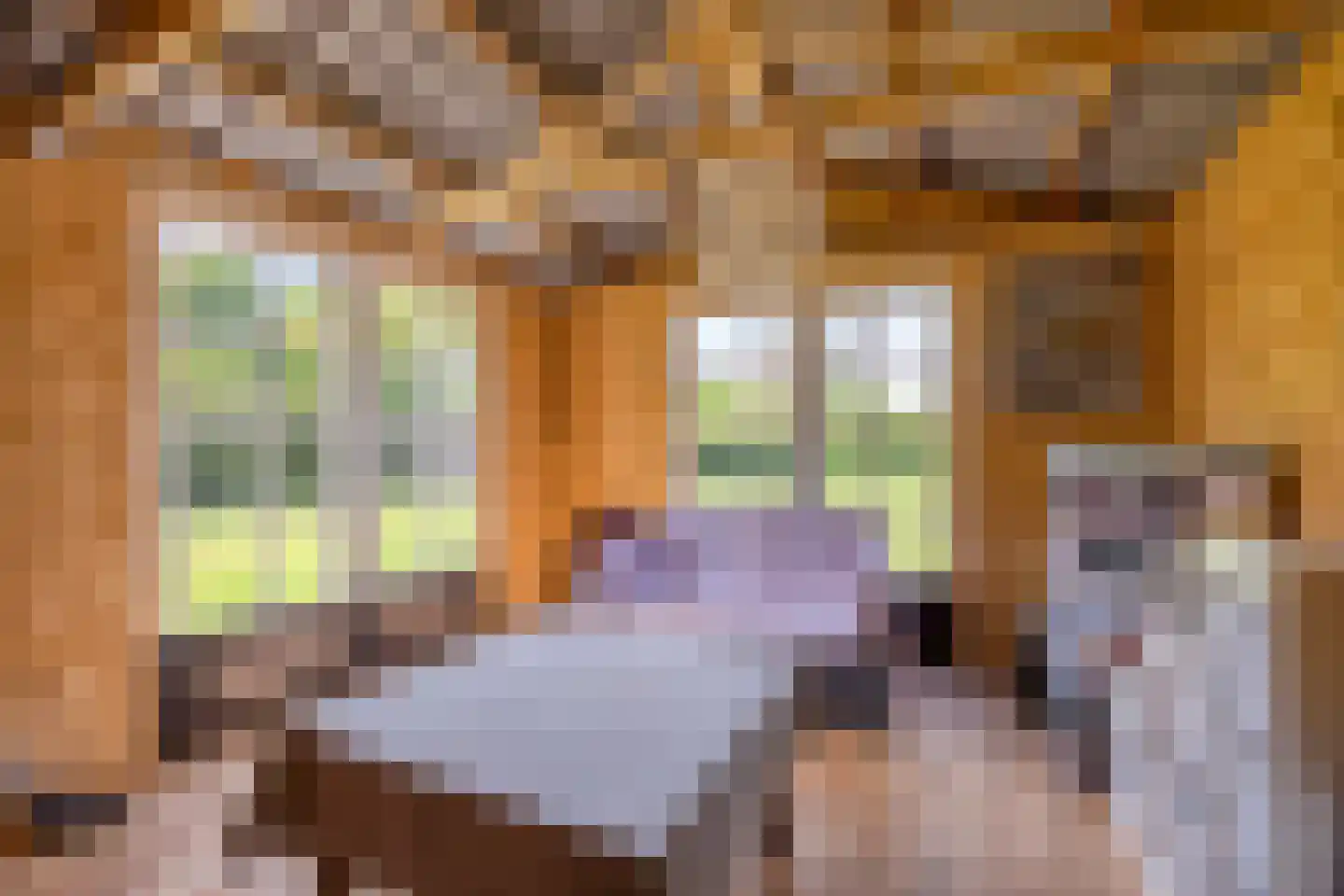 Beatrixweg 12 Heerde thumbnail 40