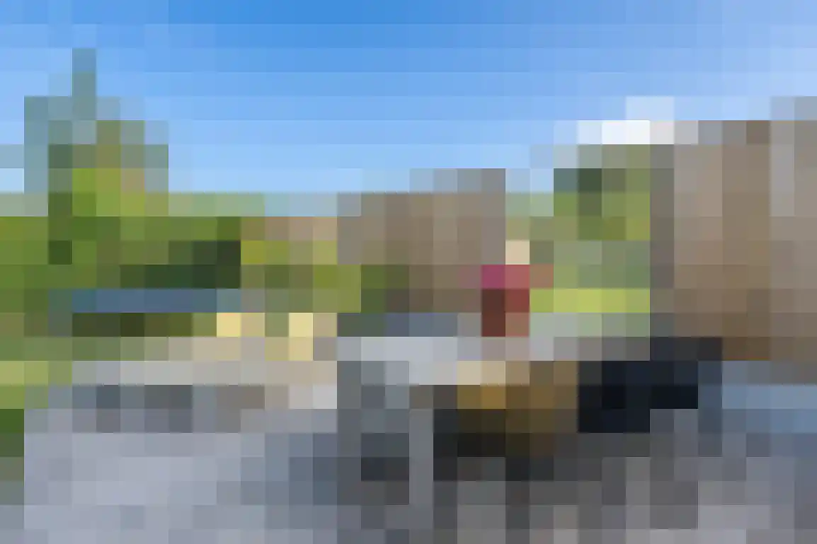Beatrixweg 14 Ouddorp thumbnail 44
