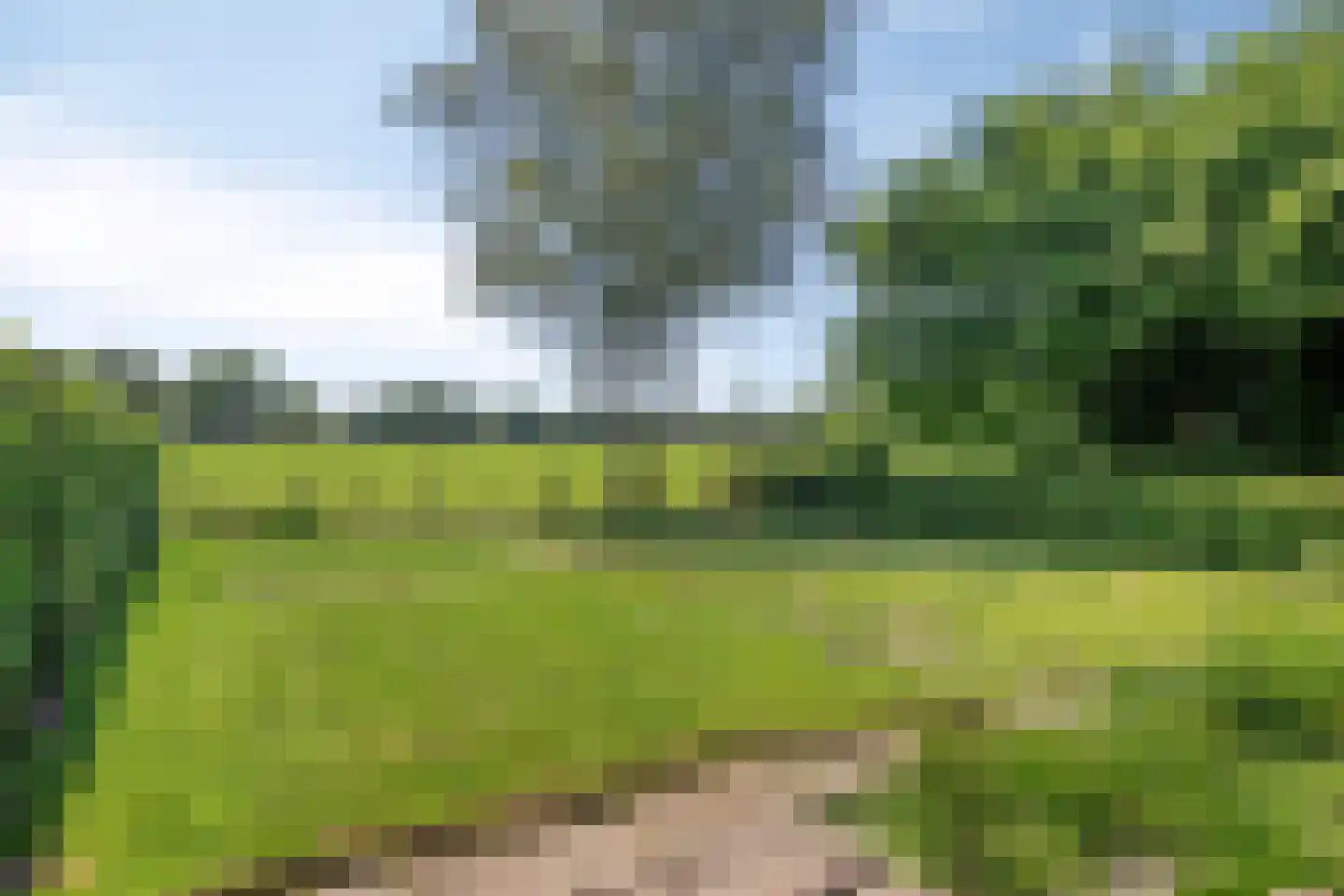 Beatrixweg 17 Heerde thumbnail 32