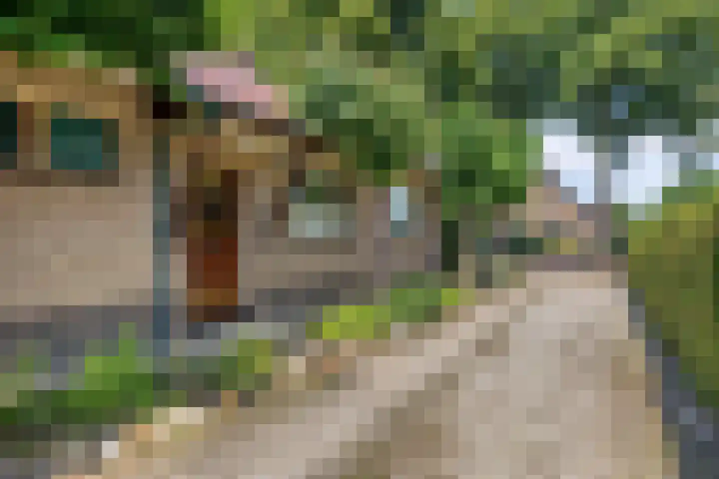 Beatrixweg 17 Heerde thumbnail 39