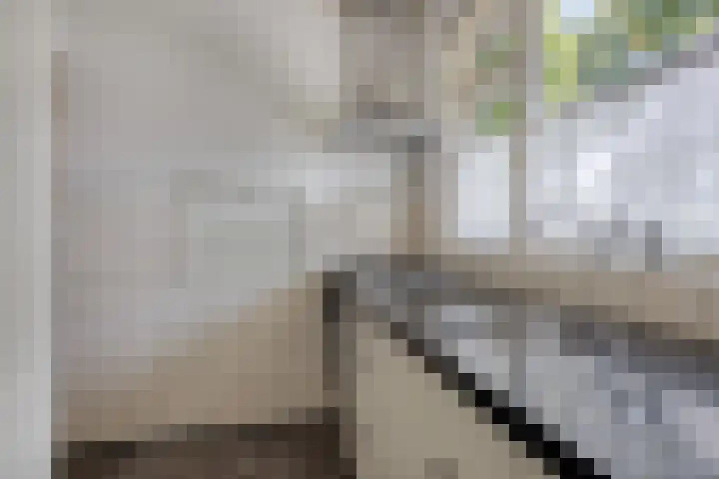 Beatrixweg 17 Heerde thumbnail 8