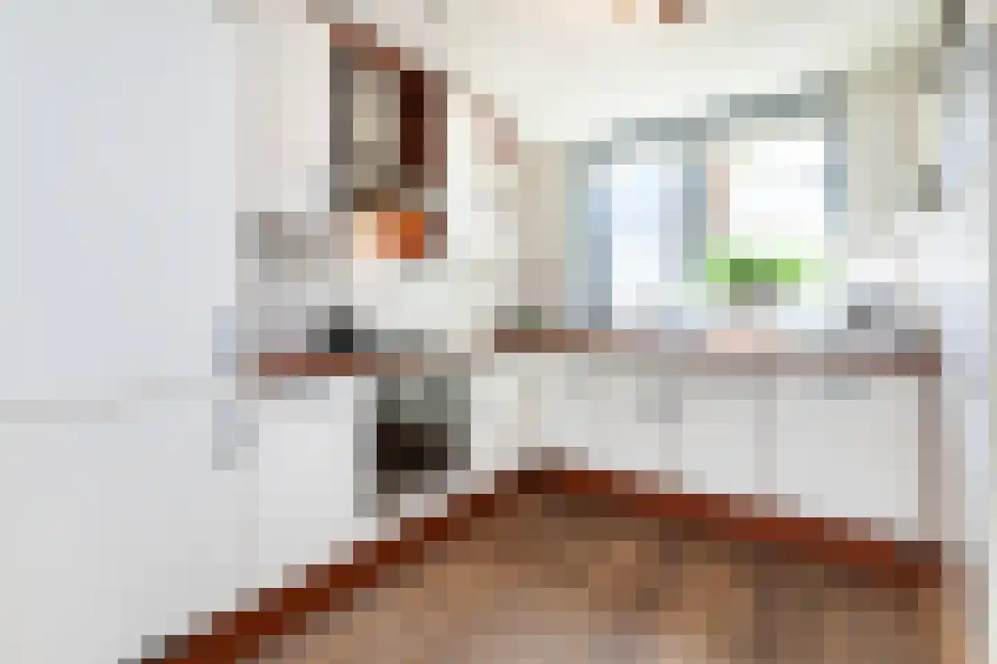 Beatrixweg 17 Kinderdijk thumbnail 11