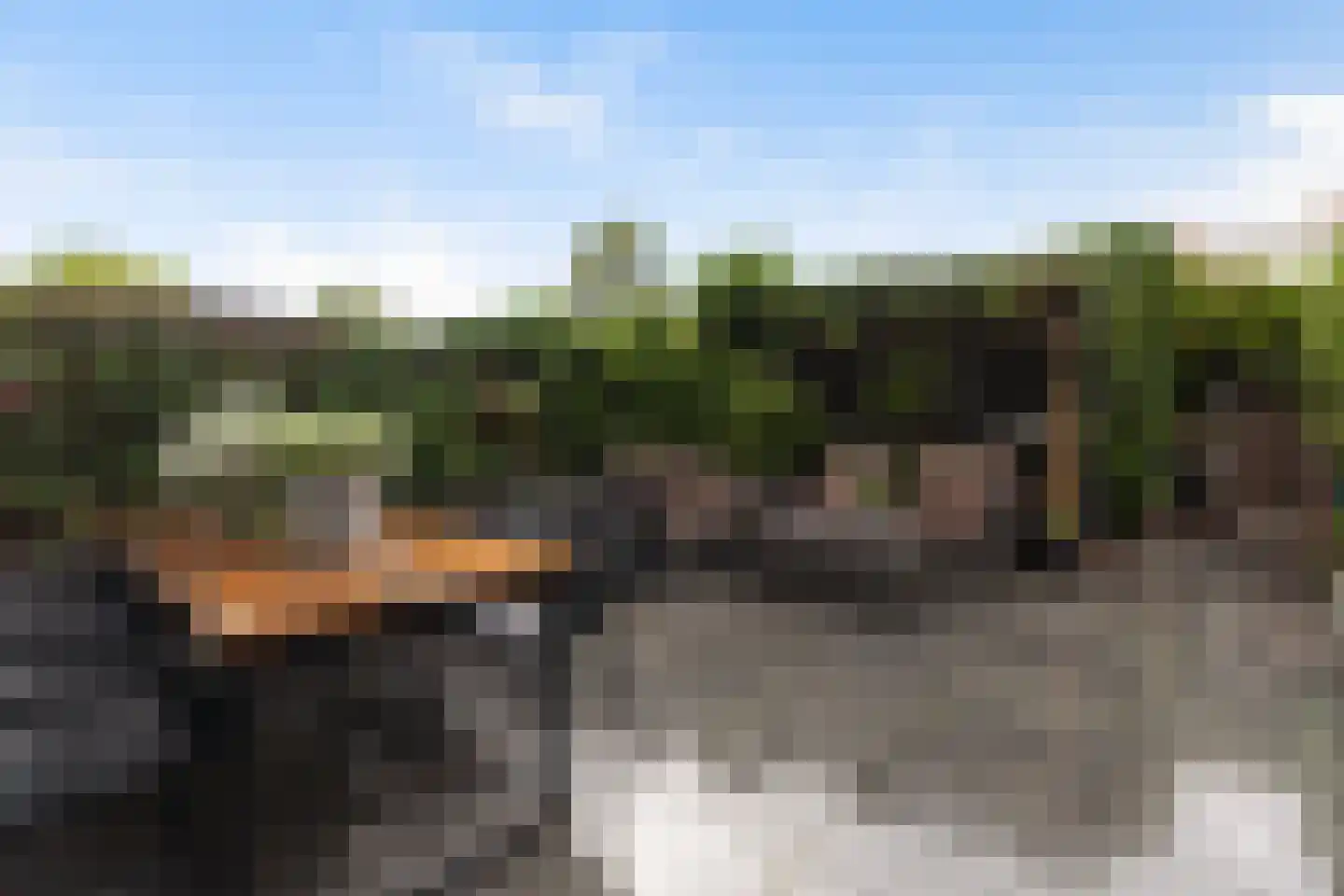 Beatrixweg 17 Kinderdijk thumbnail 30