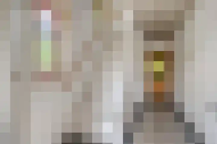 Beatrixweg 17 Vaassen thumbnail 11