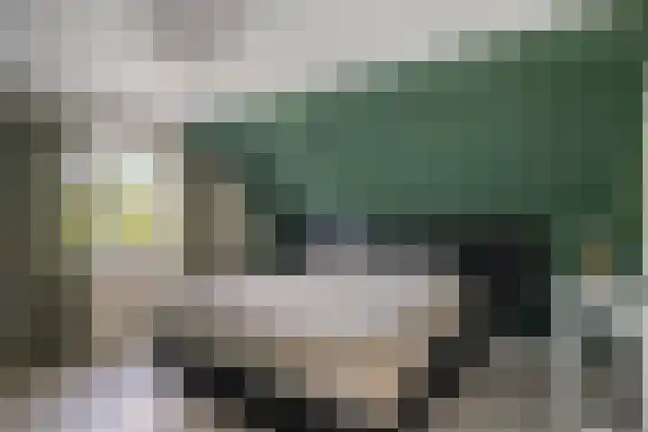Beatrixweg 17 Vaassen thumbnail 12