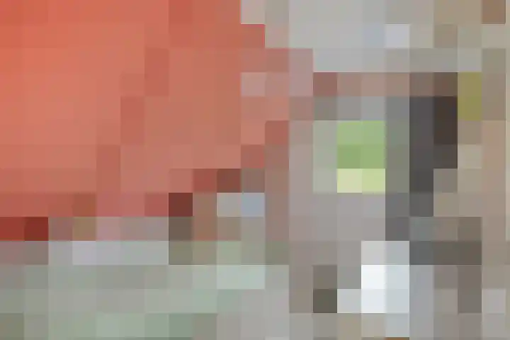 Beatrixweg 17 Vaassen thumbnail 16