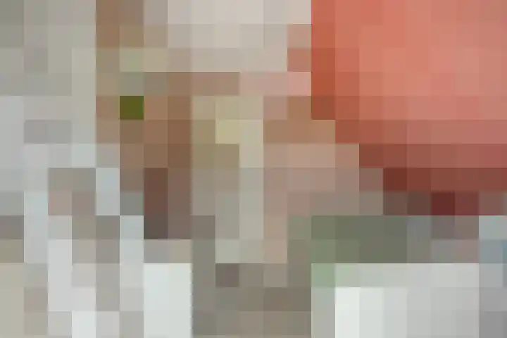 Beatrixweg 17 Vaassen thumbnail 17