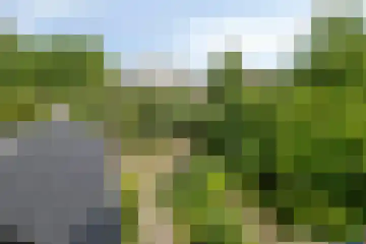 Beatrixweg 17 Vaassen thumbnail 21
