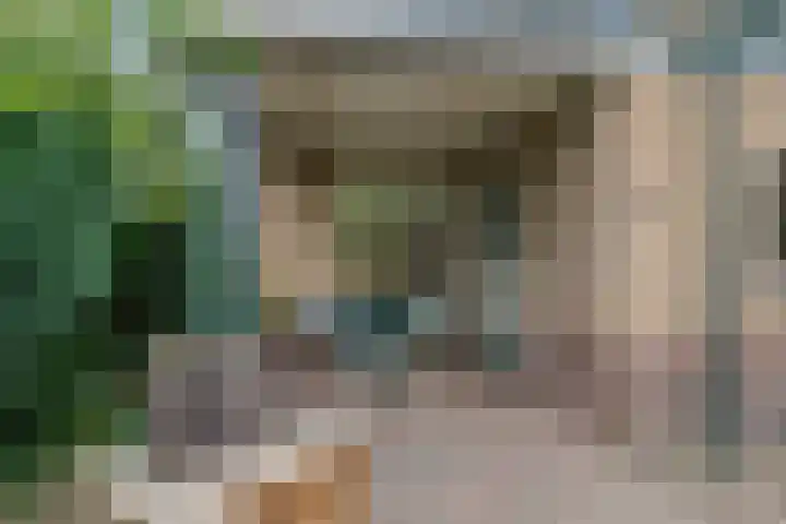 Beatrixweg 17 Vaassen thumbnail 22