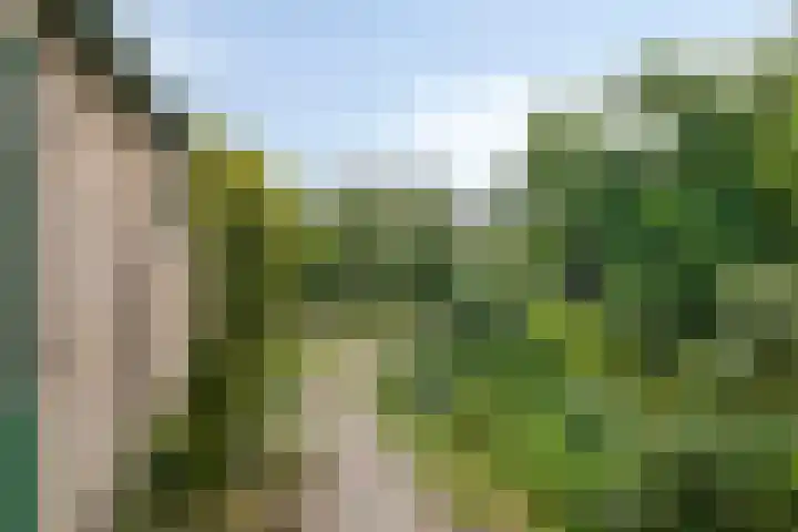 Beatrixweg 17 Vaassen thumbnail 23