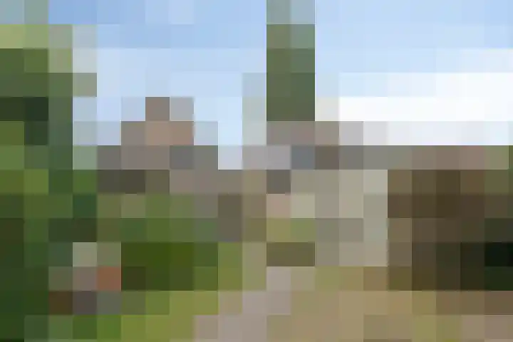 Beatrixweg 17 Vaassen thumbnail 24