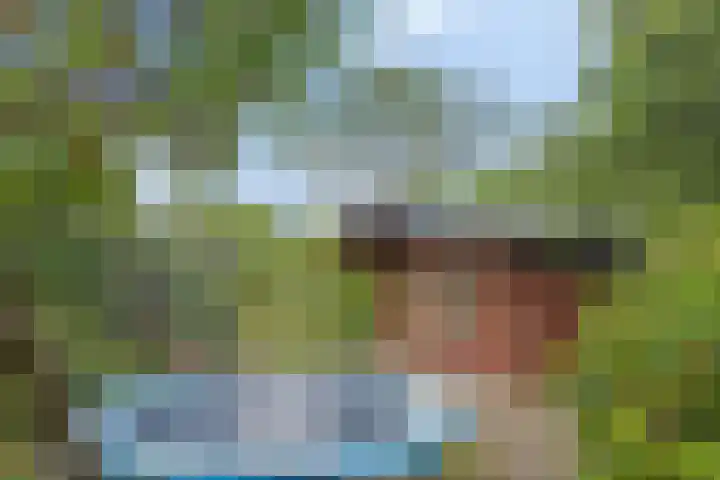 Beatrixweg 17 Vaassen thumbnail 26