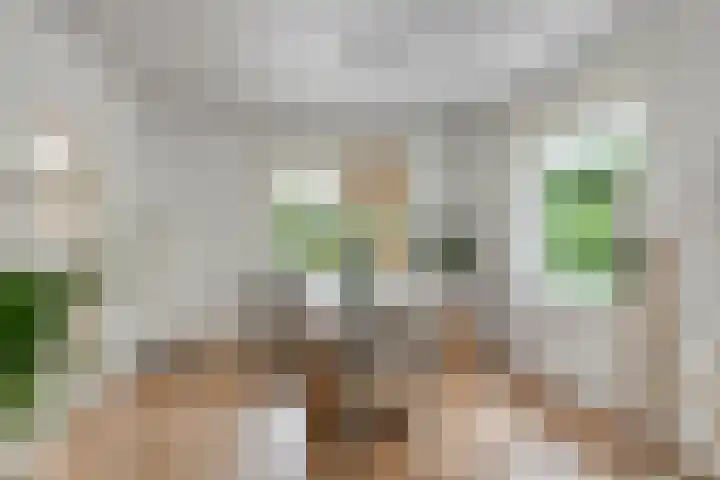 Beatrixweg 17 Vaassen thumbnail 8
