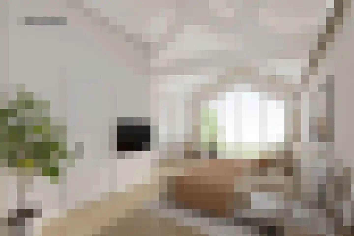 Beatrixweg 20 Epen thumbnail 31