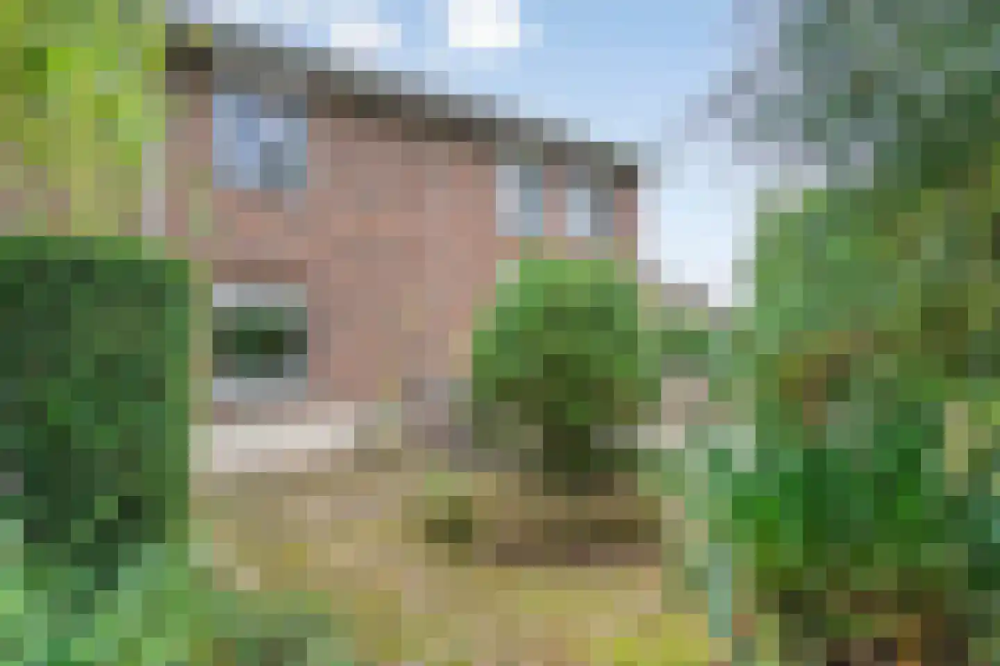 Beatrixweg 20 Epen thumbnail 43