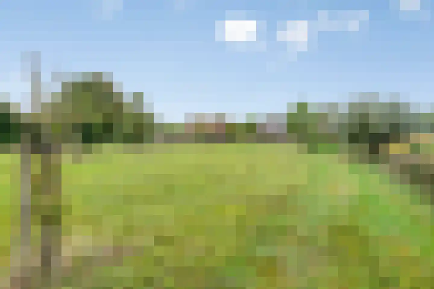 Beatrixweg 20 Epen thumbnail 52