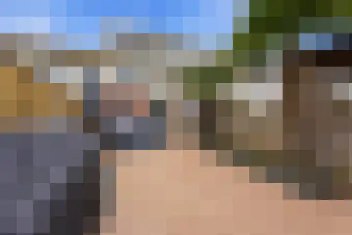 Beatrixweg 8 Kinderdijk thumbnail 36