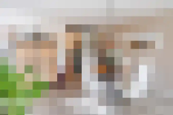 Beau Lieu 11 Leersum thumbnail 11