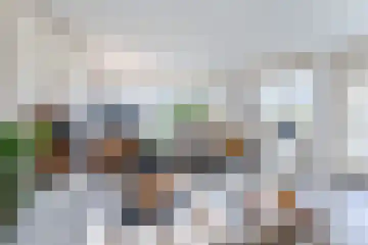 Beau Lieu 11 Leersum thumbnail 13