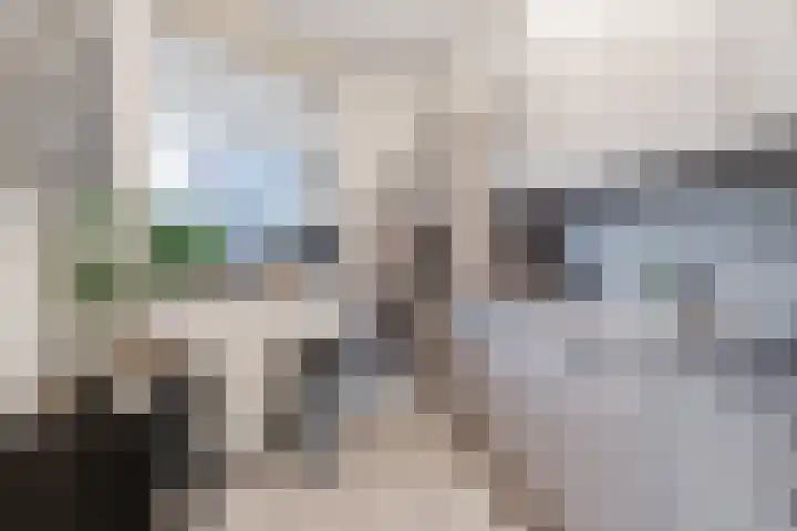 Beau Lieu 11 Leersum thumbnail 20