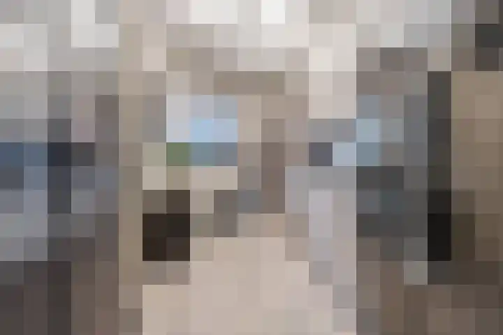 Beau Lieu 11 Leersum thumbnail 27
