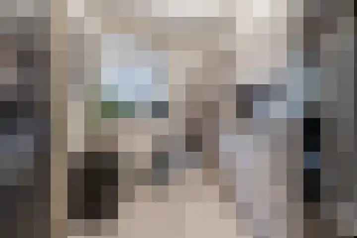 Beau Lieu 11 Leersum thumbnail 28