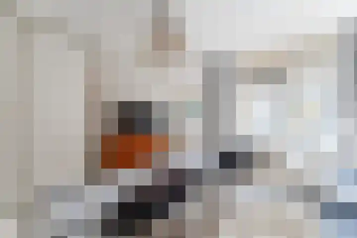 Beau Lieu 11 Leersum thumbnail 38