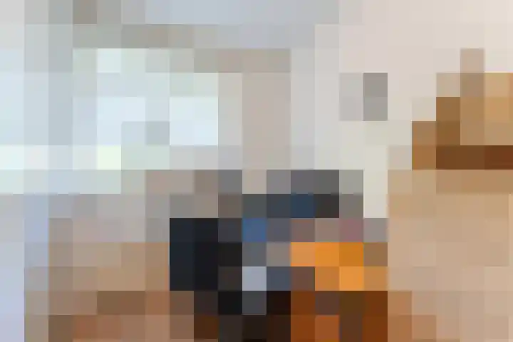 Beau Lieu 11 Leersum thumbnail 40