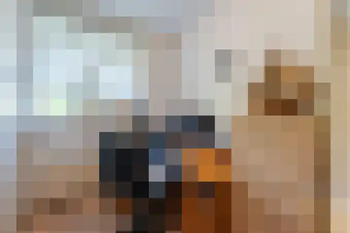 Beau Lieu 11 Leersum thumbnail 41