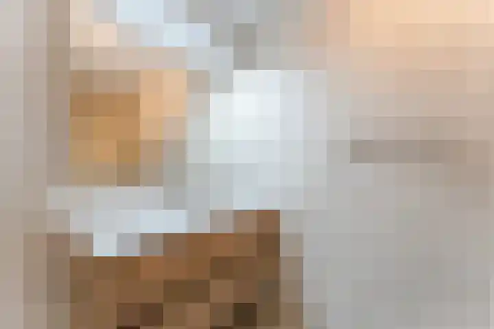 Beau Lieu 11 Leersum thumbnail 44