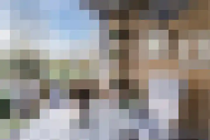 Beau Lieu 11 Leersum thumbnail 47