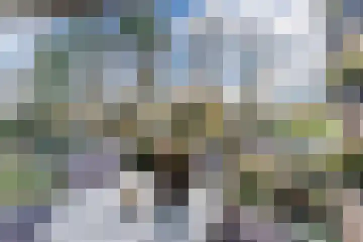 Beau Lieu 11 Leersum thumbnail 51