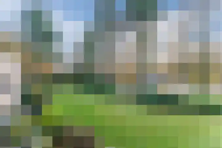 Beau Lieu 11 Leersum thumbnail 53