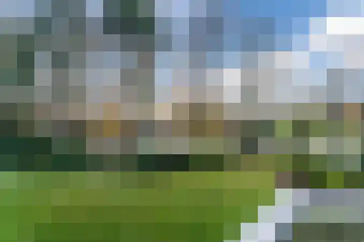 Beau Lieu 11 Leersum thumbnail 54