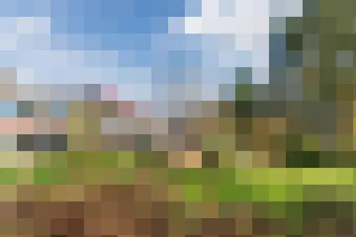 Beau Lieu 11 Leersum thumbnail 60