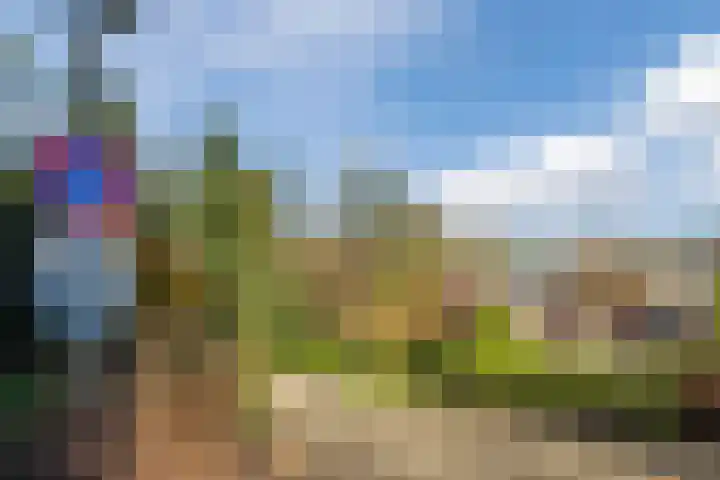 Beau Lieu 11 Leersum thumbnail 61