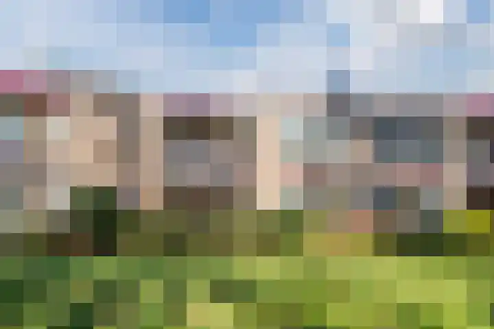 Beau Lieu 11 Leersum thumbnail 63