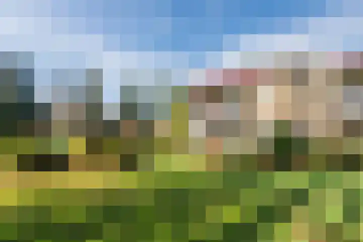 Beau Lieu 11 Leersum thumbnail 64