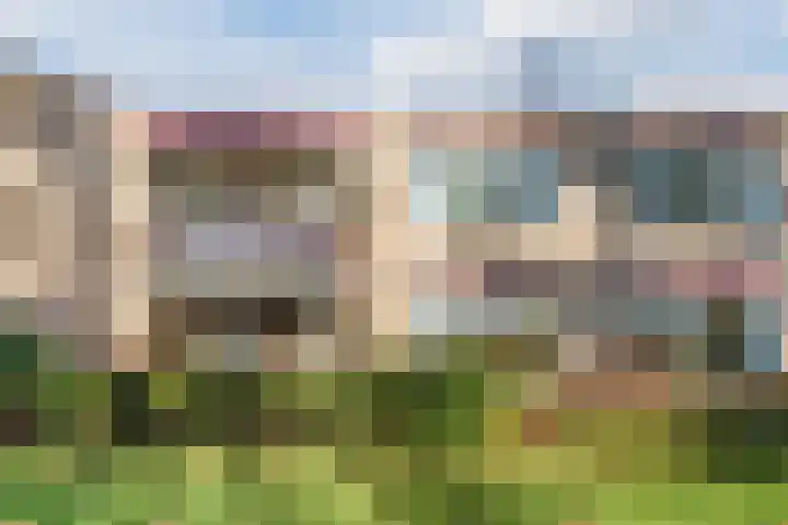Beau Lieu 11 Leersum thumbnail 67