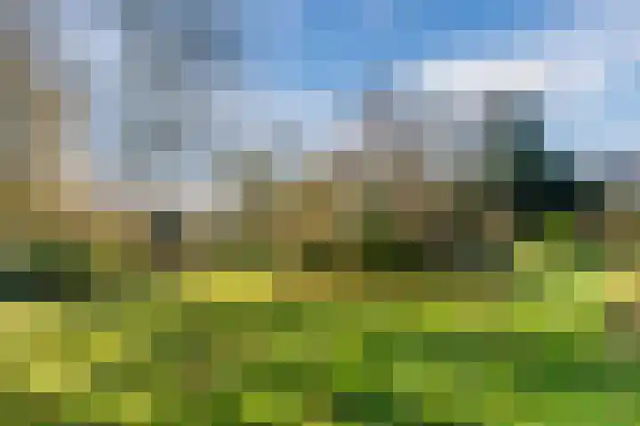 Beau Lieu 11 Leersum thumbnail 68