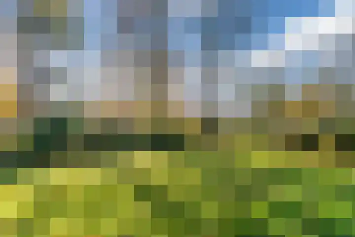 Beau Lieu 11 Leersum thumbnail 69