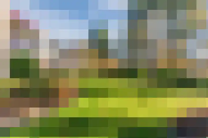 Beau Lieu 11 Leersum thumbnail 70