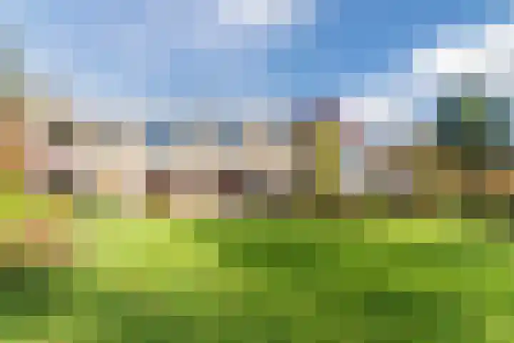 Beau Lieu 11 Leersum thumbnail 71