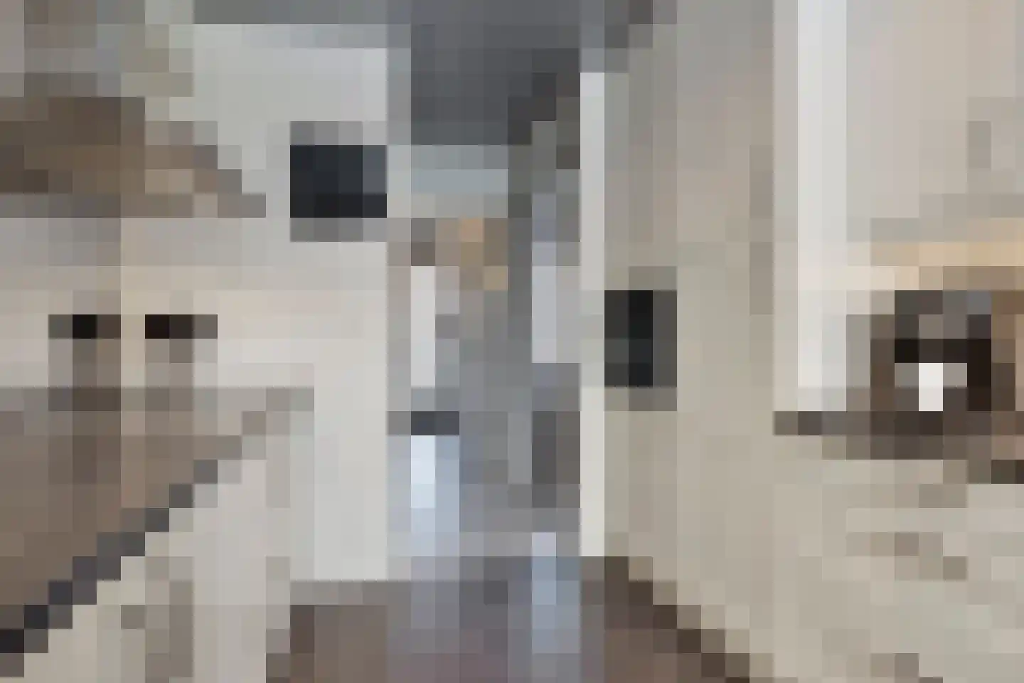 Beauvaishof 5 Eindhoven thumbnail 15