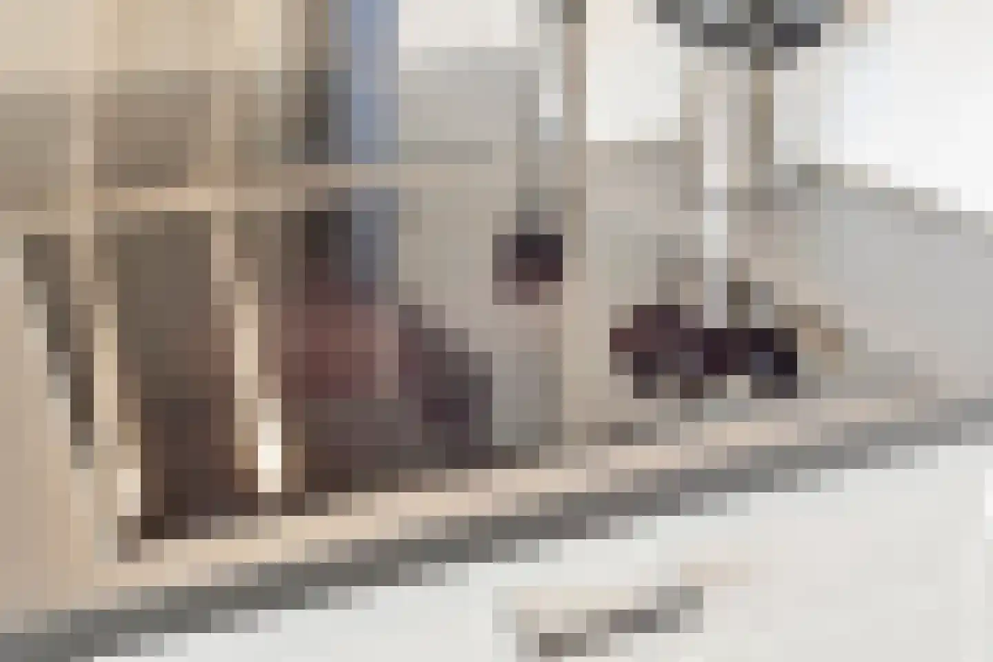 Beauvaishof 5 Eindhoven thumbnail 16
