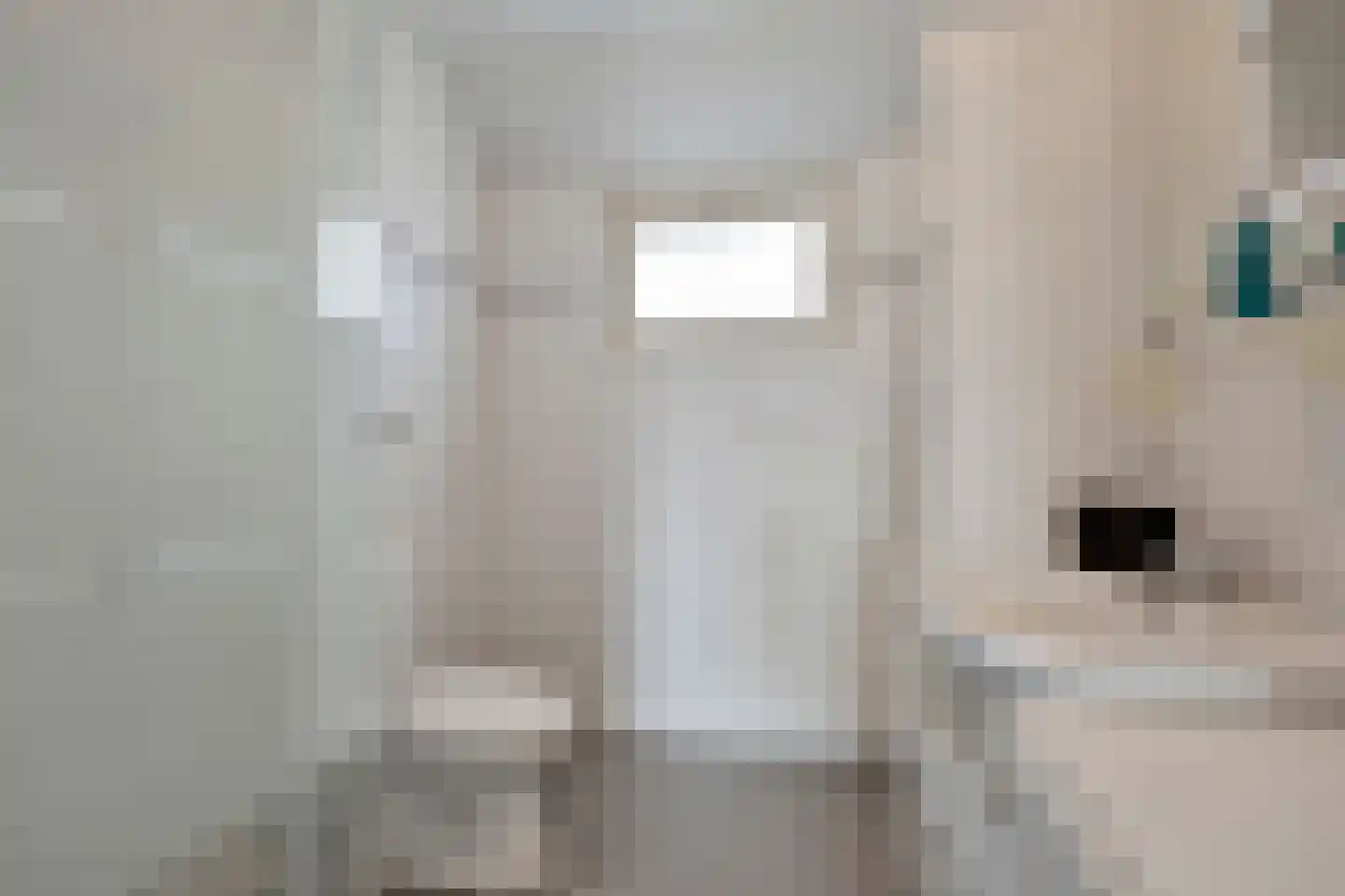 Beauvaishof 5 Eindhoven thumbnail 21