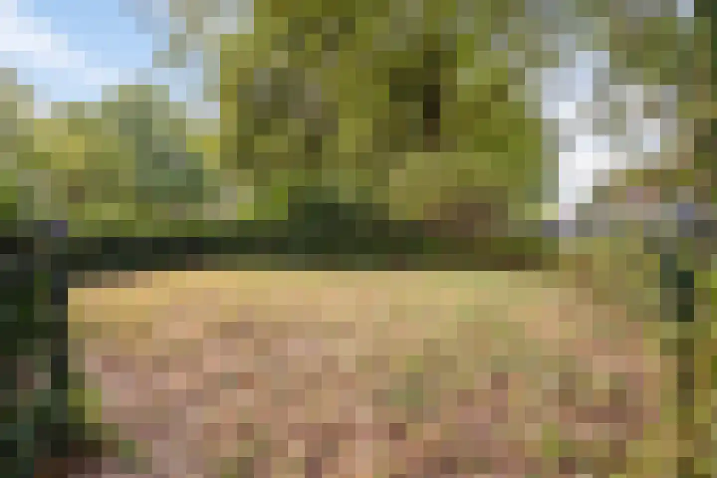 Beauvaishof 5 Eindhoven thumbnail 45